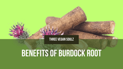 Burdock Root: Unveiling Its Health Benefits